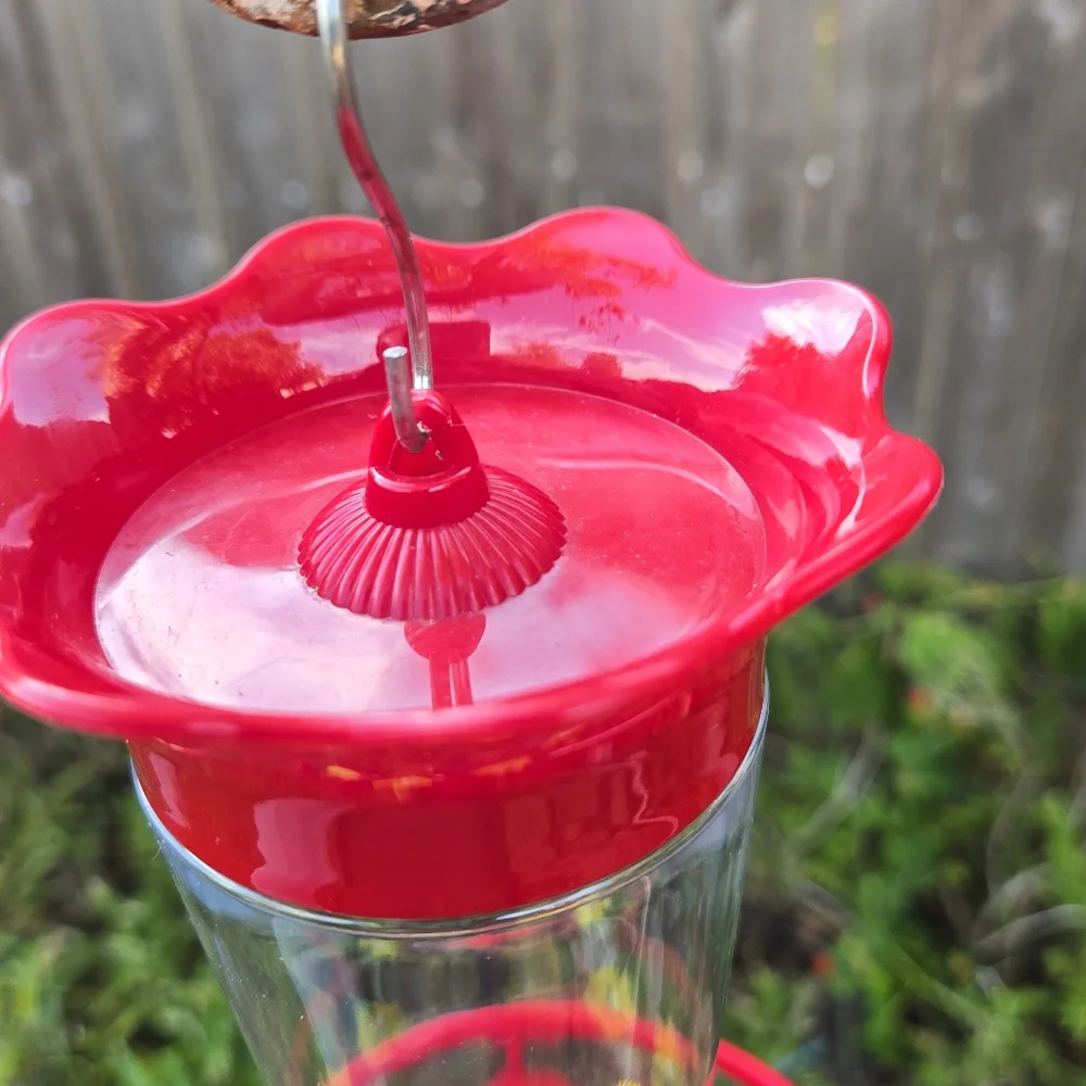 2 Pack Humming Bird Feeders with ant guard